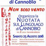 NUOTATA SUL LUNGOLAGO DI CANNOBIO